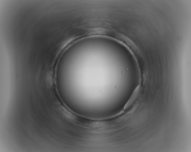 X0000114081212200910051352