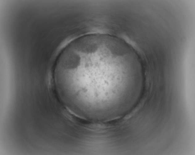 X0000114081215200910051352