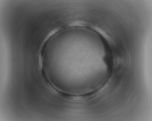 X0000114081219200910051352