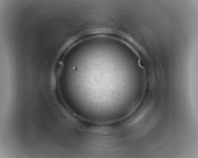 X0000114081221200910051352