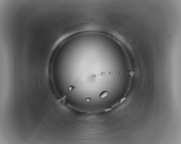 X0000114081222200910051352