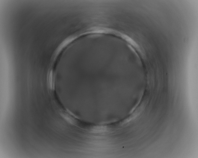 X0000114081223200910051352