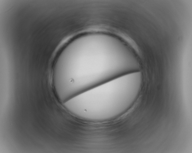 X0000114081224200910051352