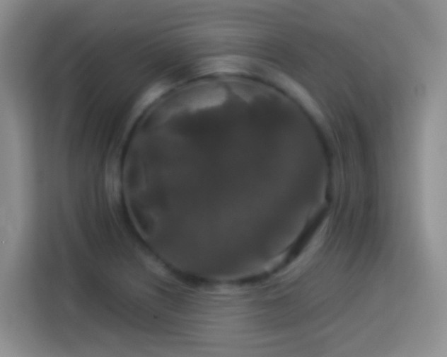 X0000114081226200910051352