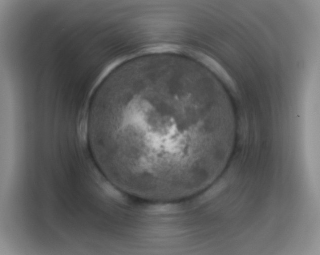 X0000114081228200910051352