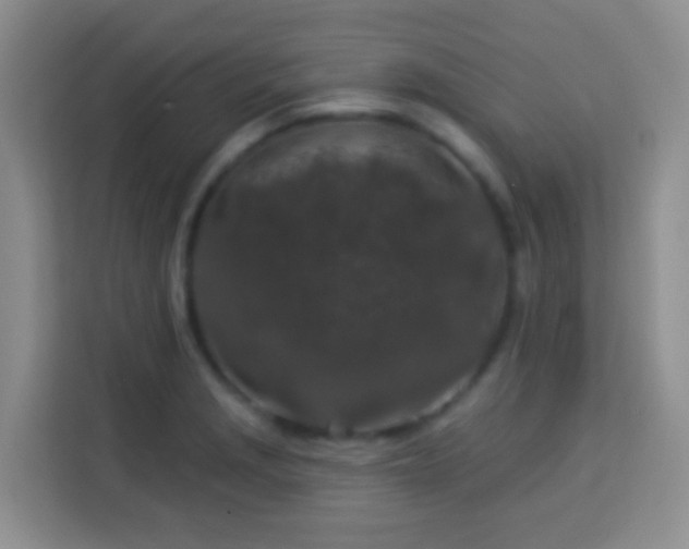 X0000114081229200910051352