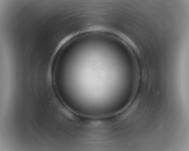 X0000114081230200910051352