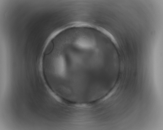 X0000114081231200910051352