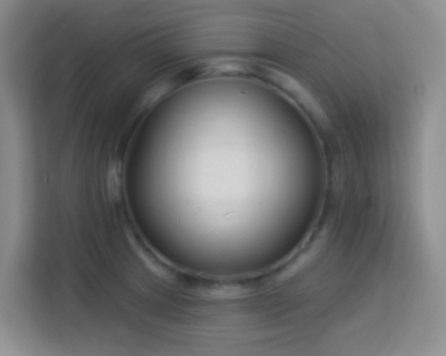 X0000114081233200910051352