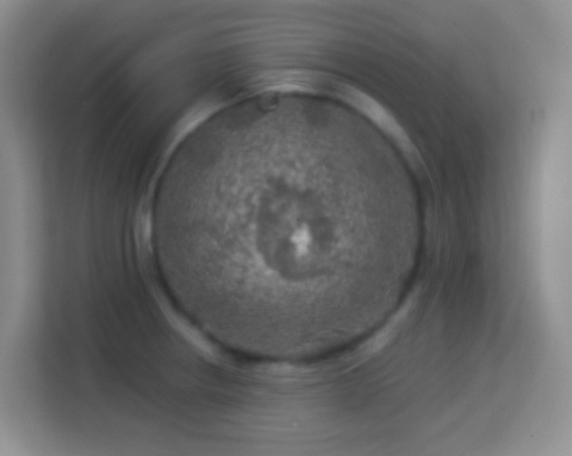 X0000114081234200910051352