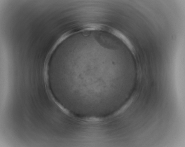 X0000114081235200910051352