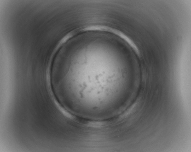 X0000114081237200910051352