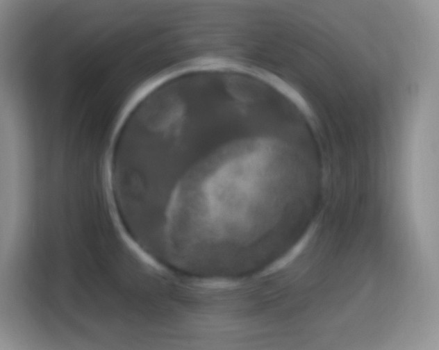 X0000114081239200910051352