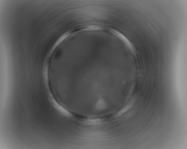 X0000114081243200910051352