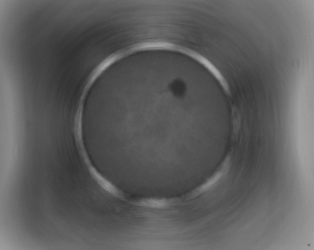 X0000114081245200910051352