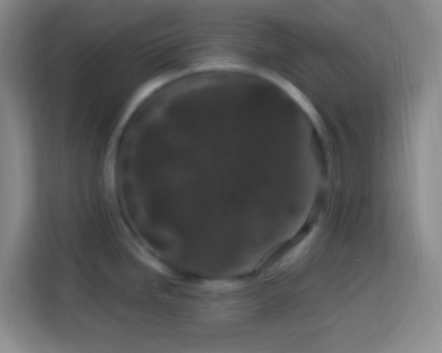 X0000114081246200910051352