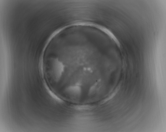 X0000114081247200910051352