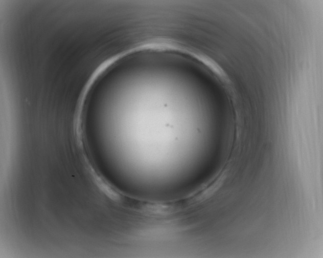 X0000114081248200910051352