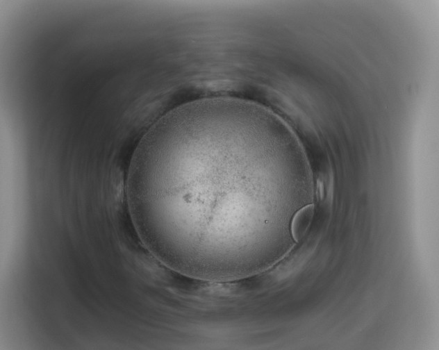 X0000114081251200910051351