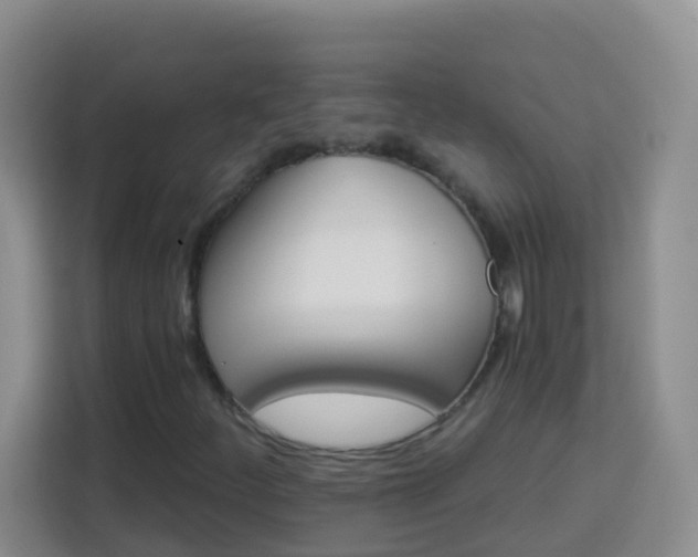 X0000114081252200910051351