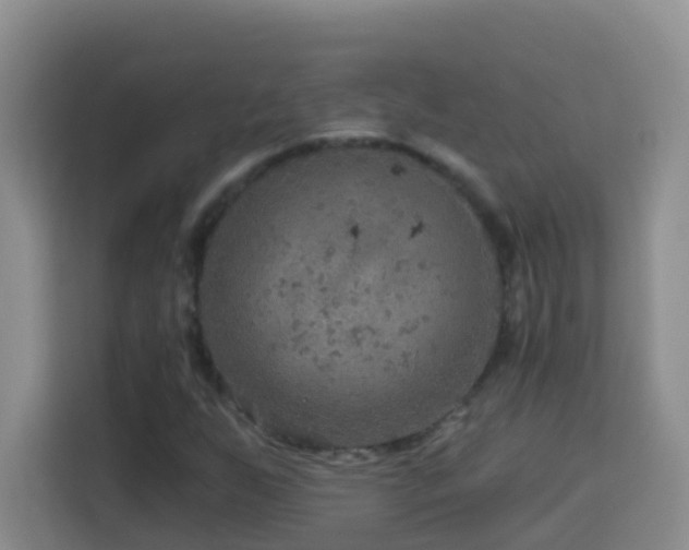 X0000114081255200910051351