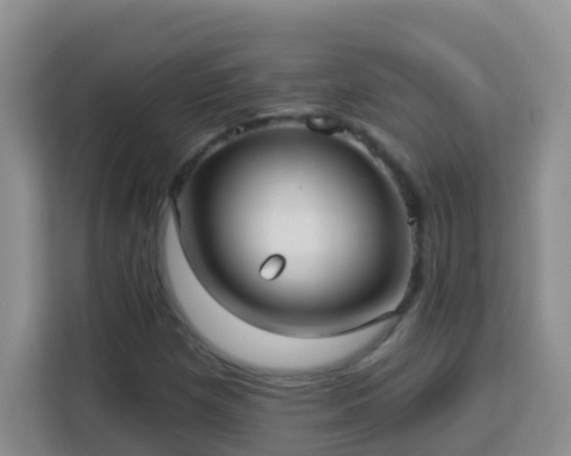 X0000114081257200910051351