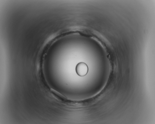 X0000114081261200910051351