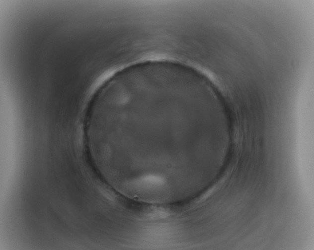 X0000114081263200910051351