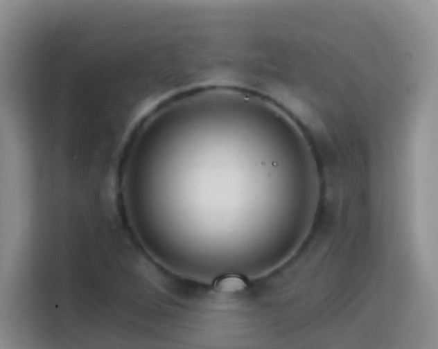 X0000114081264200910051351