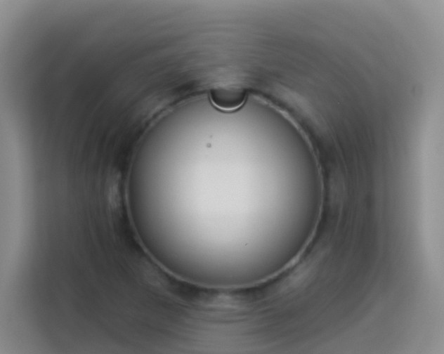 X0000114081265200910051351