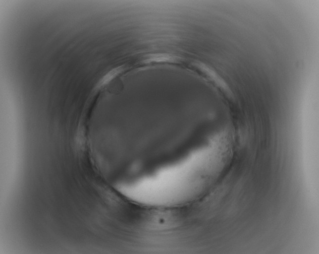 X0000114081266200910051351