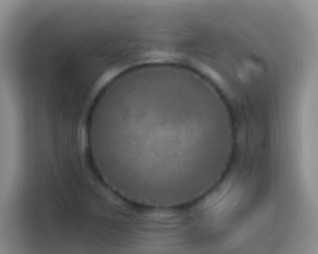 X0000114081267200910051351