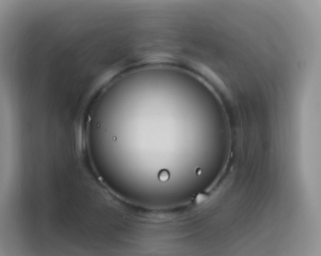 X0000114081269200910051351