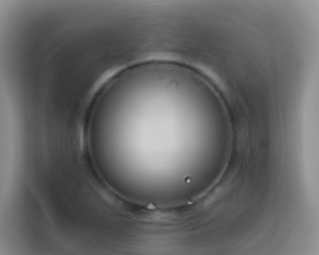 X0000114081271200910051351