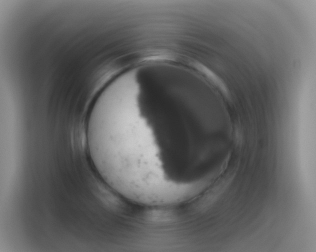 X0000114081274200910051351