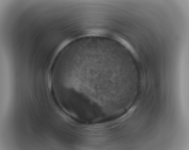 X0000114081275200910051351