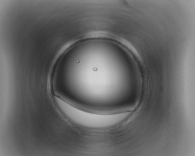 X0000114081277200910051351