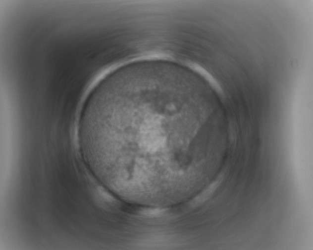 X0000114081278200910051351