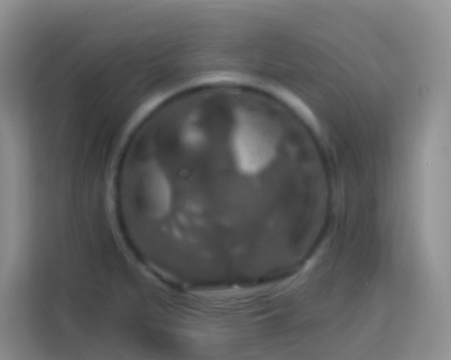 X0000114081279200910051351