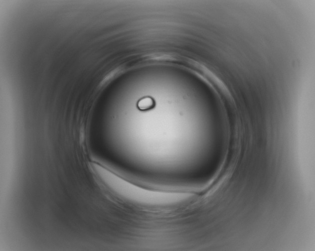 X0000114081281200910051351