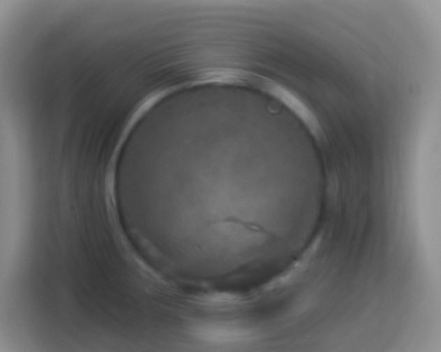 X0000114081283200910051351