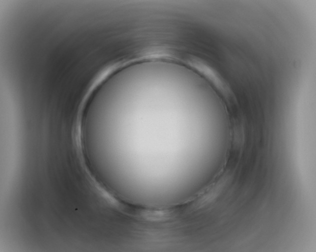 X0000114081286200910051351