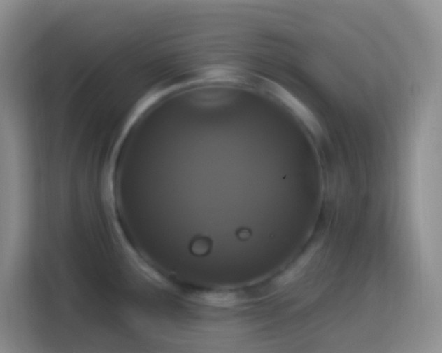 X0000114081291200910051351