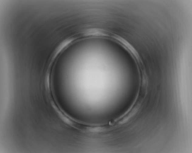 X0000114081293200910051351