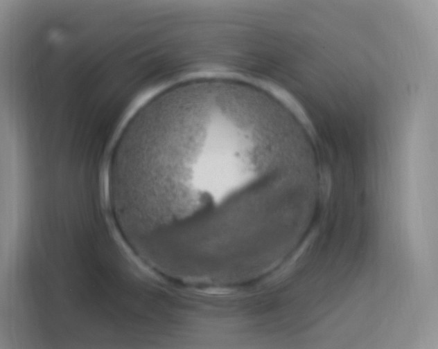 X0000114081295200910051351