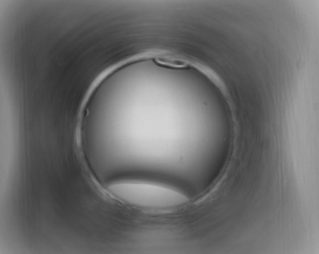 X0000114081296200910051351