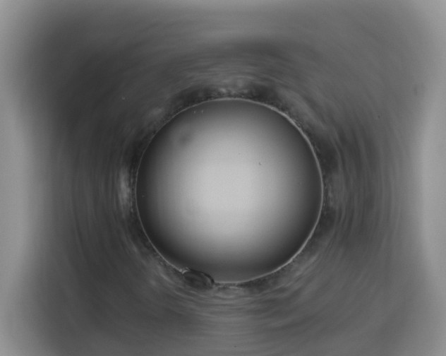 X0000114081298200910051350