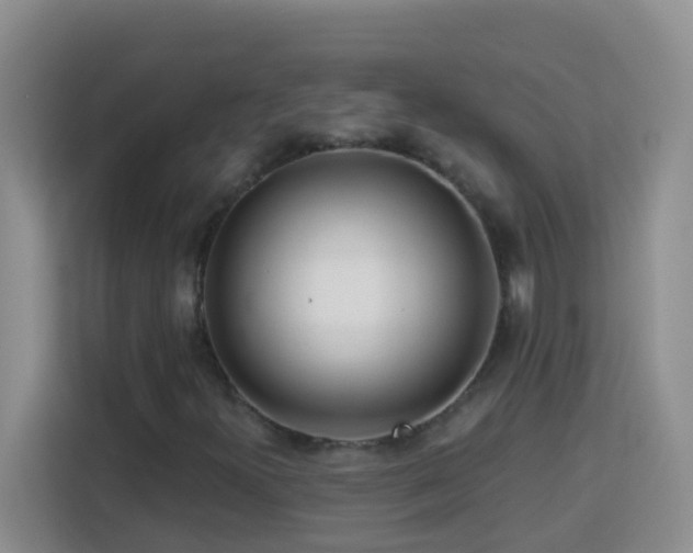 X0000114081300200910051350