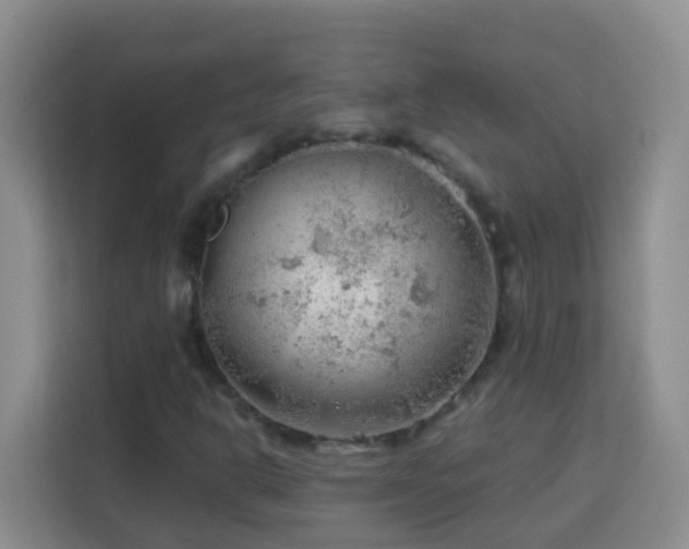 X0000114081302200910051350