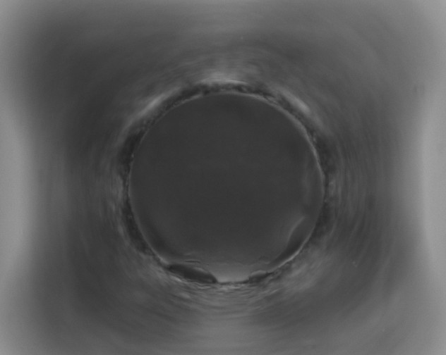 X0000114081303200910051350